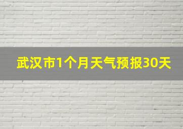 武汉市1个月天气预报30天