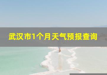 武汉市1个月天气预报查询