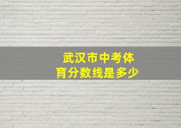 武汉市中考体育分数线是多少