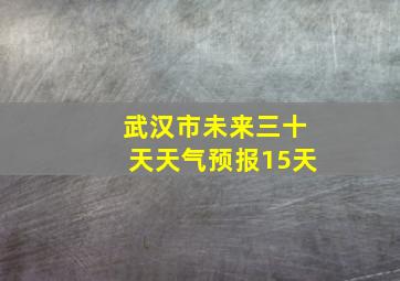 武汉市未来三十天天气预报15天