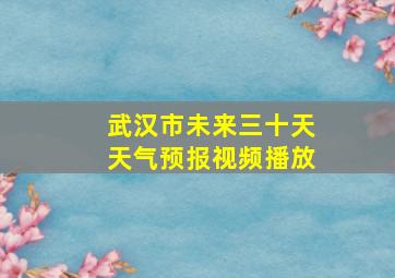 武汉市未来三十天天气预报视频播放