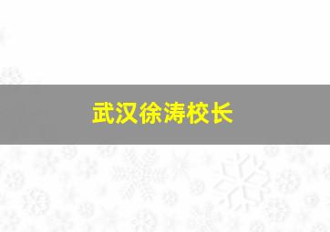 武汉徐涛校长