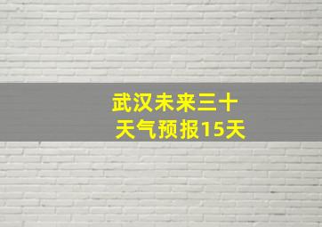 武汉未来三十天气预报15天