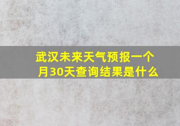 武汉未来天气预报一个月30天查询结果是什么