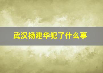 武汉杨建华犯了什么事