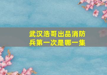 武汉浩哥出品消防兵第一次是哪一集