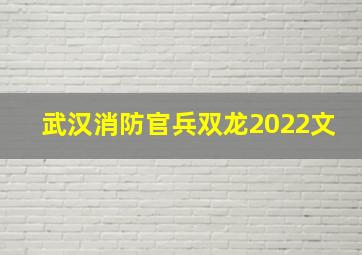 武汉消防官兵双龙2022文