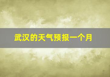 武汉的天气预报一个月