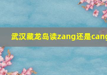 武汉藏龙岛读zang还是cang