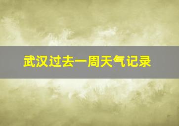 武汉过去一周天气记录