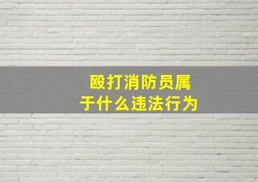 殴打消防员属于什么违法行为