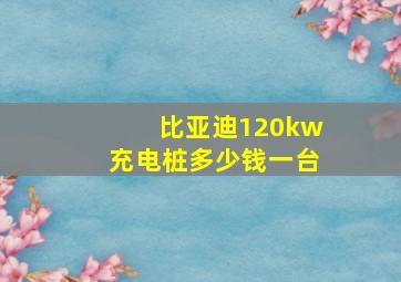 比亚迪120kw充电桩多少钱一台