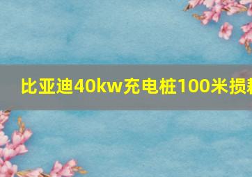 比亚迪40kw充电桩100米损耗