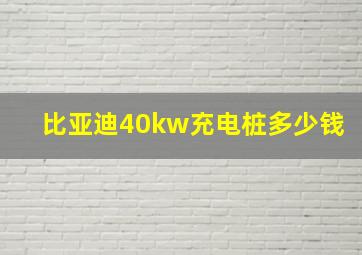 比亚迪40kw充电桩多少钱