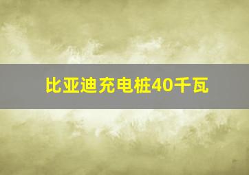 比亚迪充电桩40千瓦