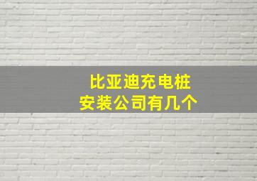 比亚迪充电桩安装公司有几个