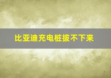 比亚迪充电桩拔不下来