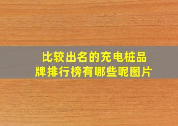 比较出名的充电桩品牌排行榜有哪些呢图片