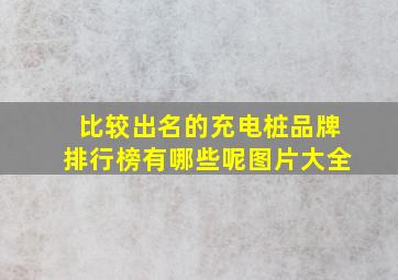 比较出名的充电桩品牌排行榜有哪些呢图片大全