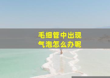 毛细管中出现气泡怎么办呢