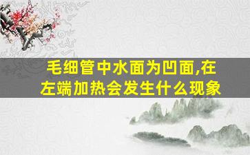 毛细管中水面为凹面,在左端加热会发生什么现象