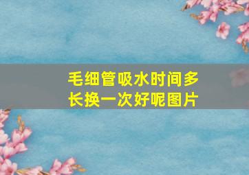 毛细管吸水时间多长换一次好呢图片