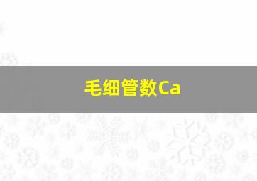 毛细管数Ca