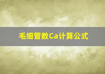 毛细管数Ca计算公式