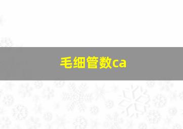 毛细管数ca