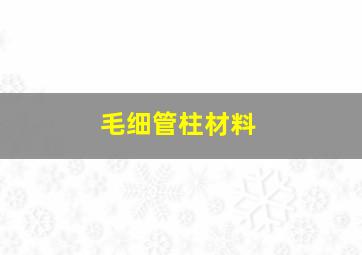 毛细管柱材料