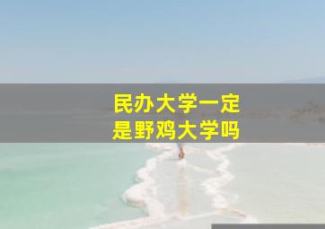 民办大学一定是野鸡大学吗