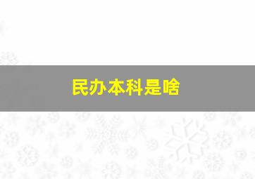 民办本科是啥