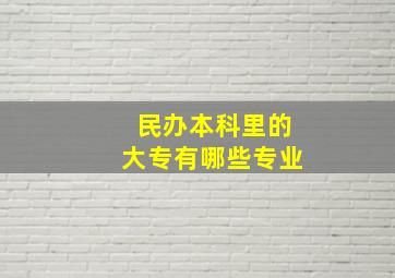 民办本科里的大专有哪些专业