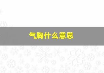 气胸什么意思