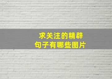 求关注的精辟句子有哪些图片