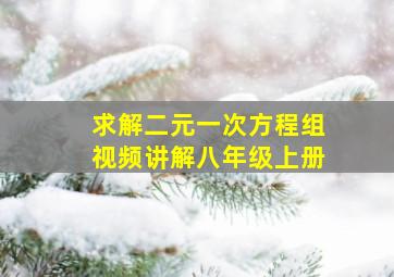 求解二元一次方程组视频讲解八年级上册