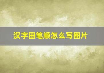 汉字田笔顺怎么写图片