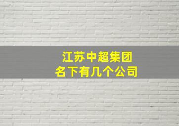 江苏中超集团名下有几个公司