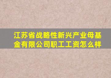 江苏省战略性新兴产业母基金有限公司职工工资怎么样