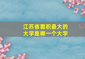 江苏省面积最大的大学是哪一个大学