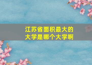 江苏省面积最大的大学是哪个大学啊