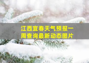 江西宜春天气预报一周查询最新动态图片