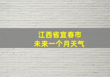 江西省宜春市未来一个月天气