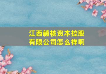 江西赣核资本控股有限公司怎么样啊