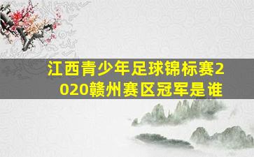 江西青少年足球锦标赛2020赣州赛区冠军是谁