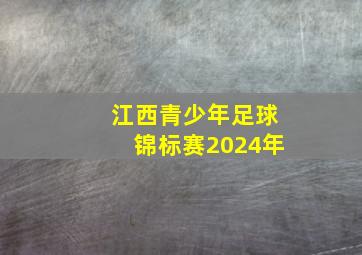 江西青少年足球锦标赛2024年