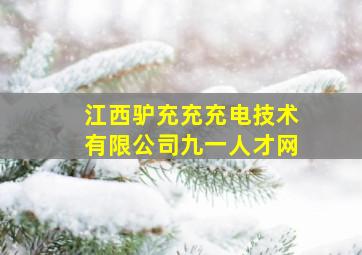 江西驴充充充电技术有限公司九一人才网