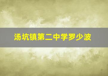 汤坑镇第二中学罗少波