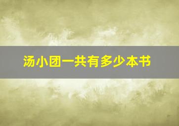 汤小团一共有多少本书