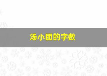 汤小团的字数